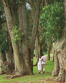 Sensei Lanai, A Four Seasons Resort Lanai City USA